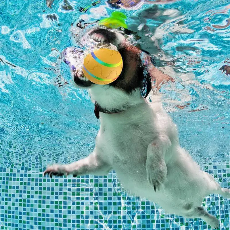 Yellow Purrfectplay pet ball with green blue wavy stripes underwater