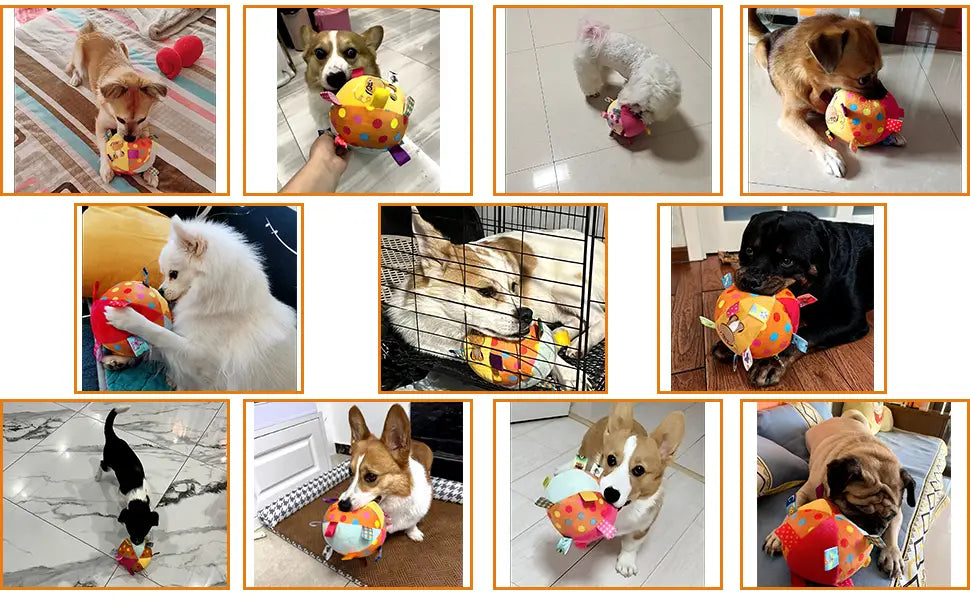 Colorful plush dog toy with built-in chimes and squeaky balls