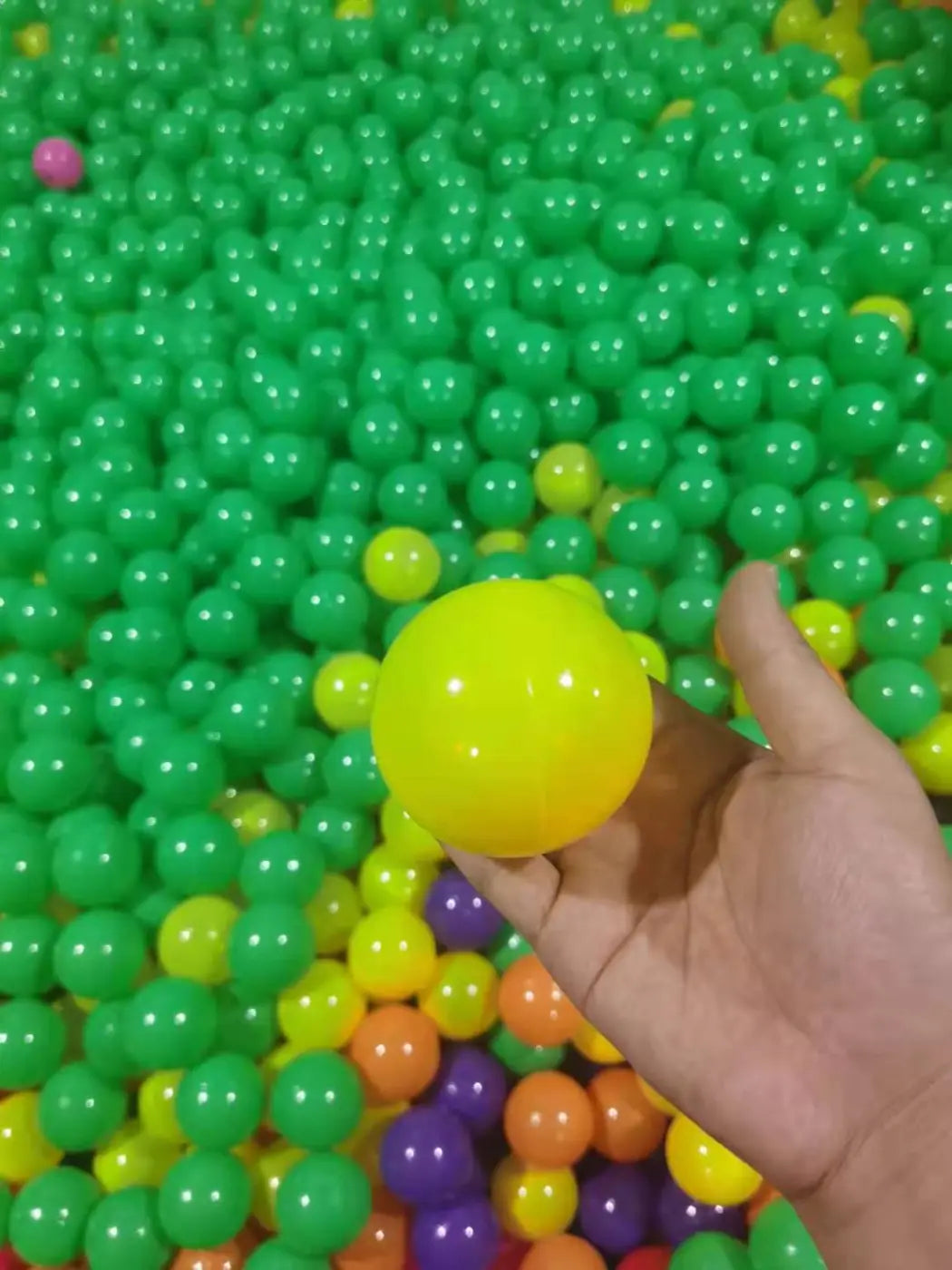 The Ball Depot playground balls: 100pcs Children's Paradise Color Macaron Thickened Marine Ball