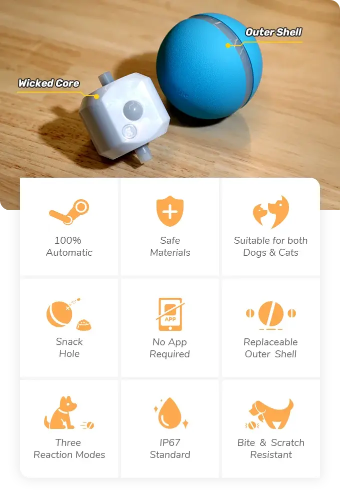 Blue Bouncing Ball pet toy with white motorized core and replaceable shell