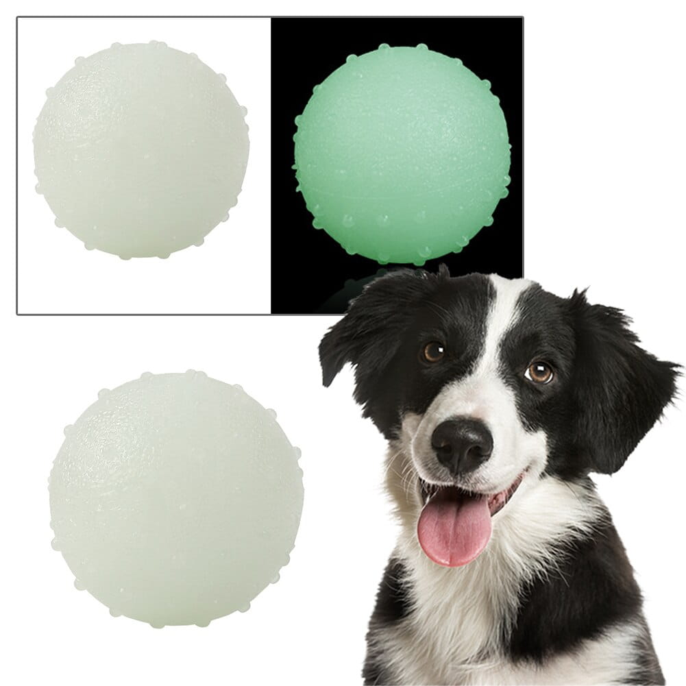 Interactive pet glow ball