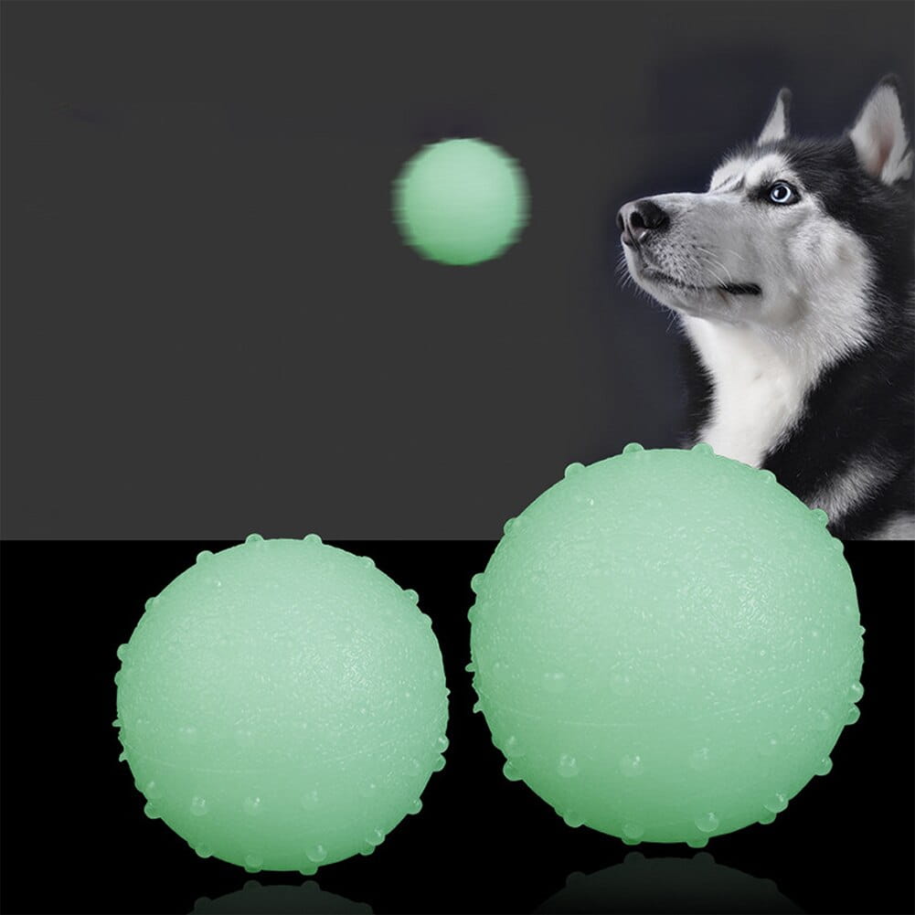 Interactive pet glow ball