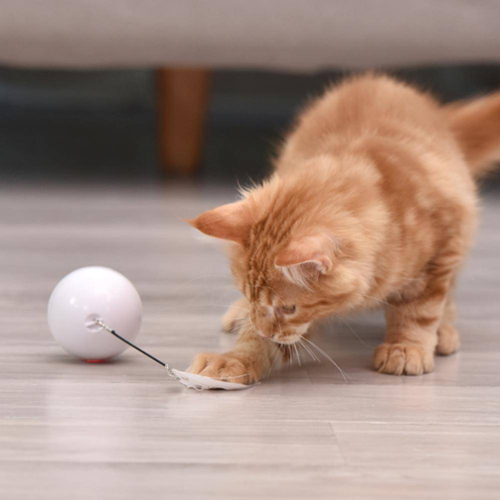 360° Interactive LED Cat Toy Ball: white sphere with feather and black string