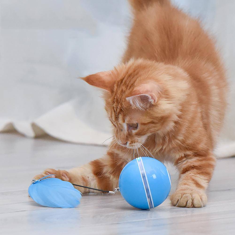 360° Interactive LED Cat Toy Ball with blue mouse on retractable string