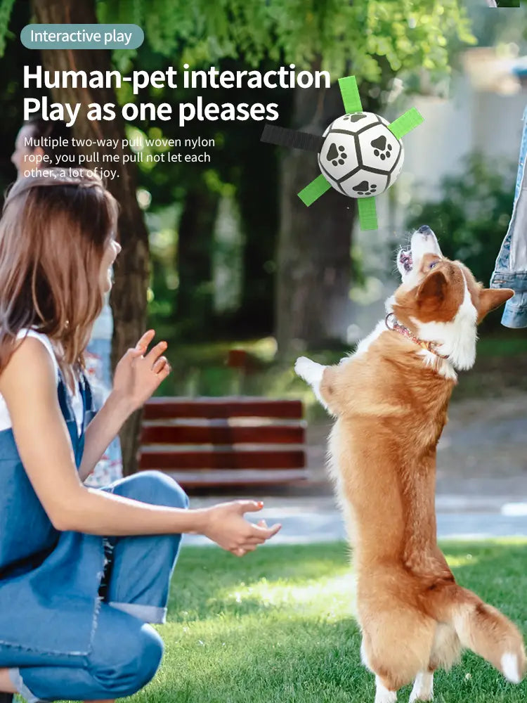 White soccer ball with black paw prints for Interactive Dog Ball