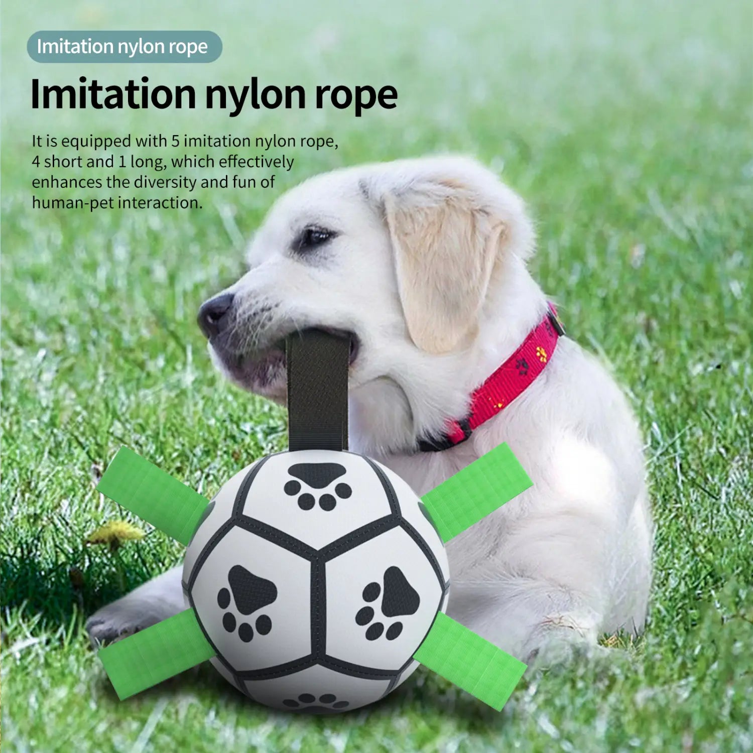 Interactive dog ball: white soccer toy with black paw prints, green rope handles