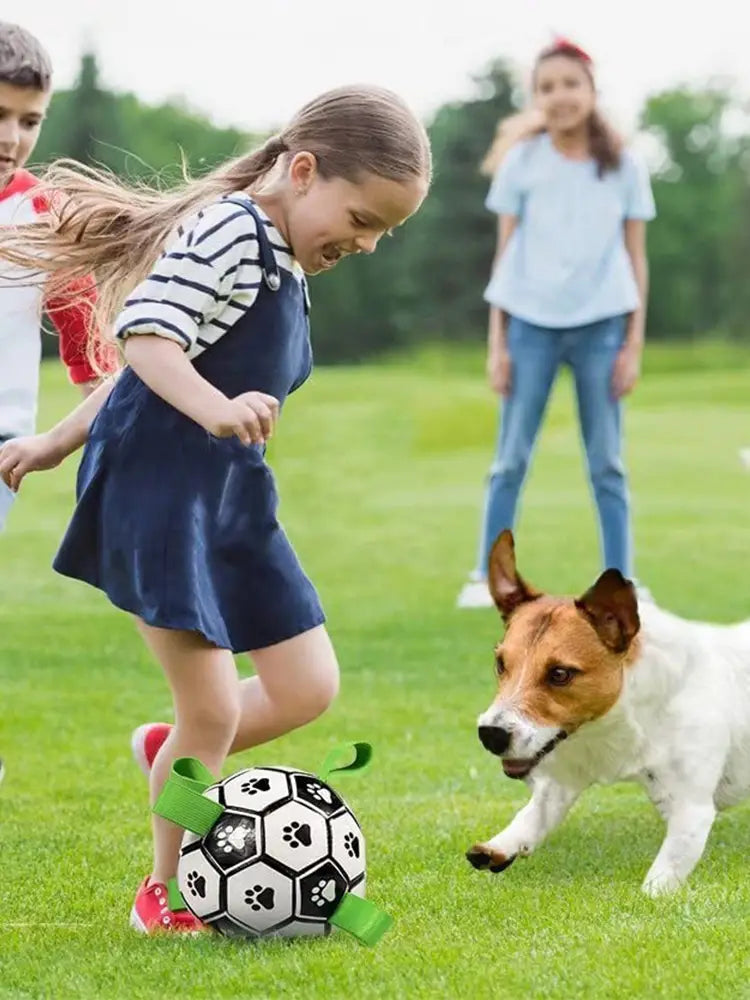 Interactive dog ball: black and white soccer ball with green handles, paw prints