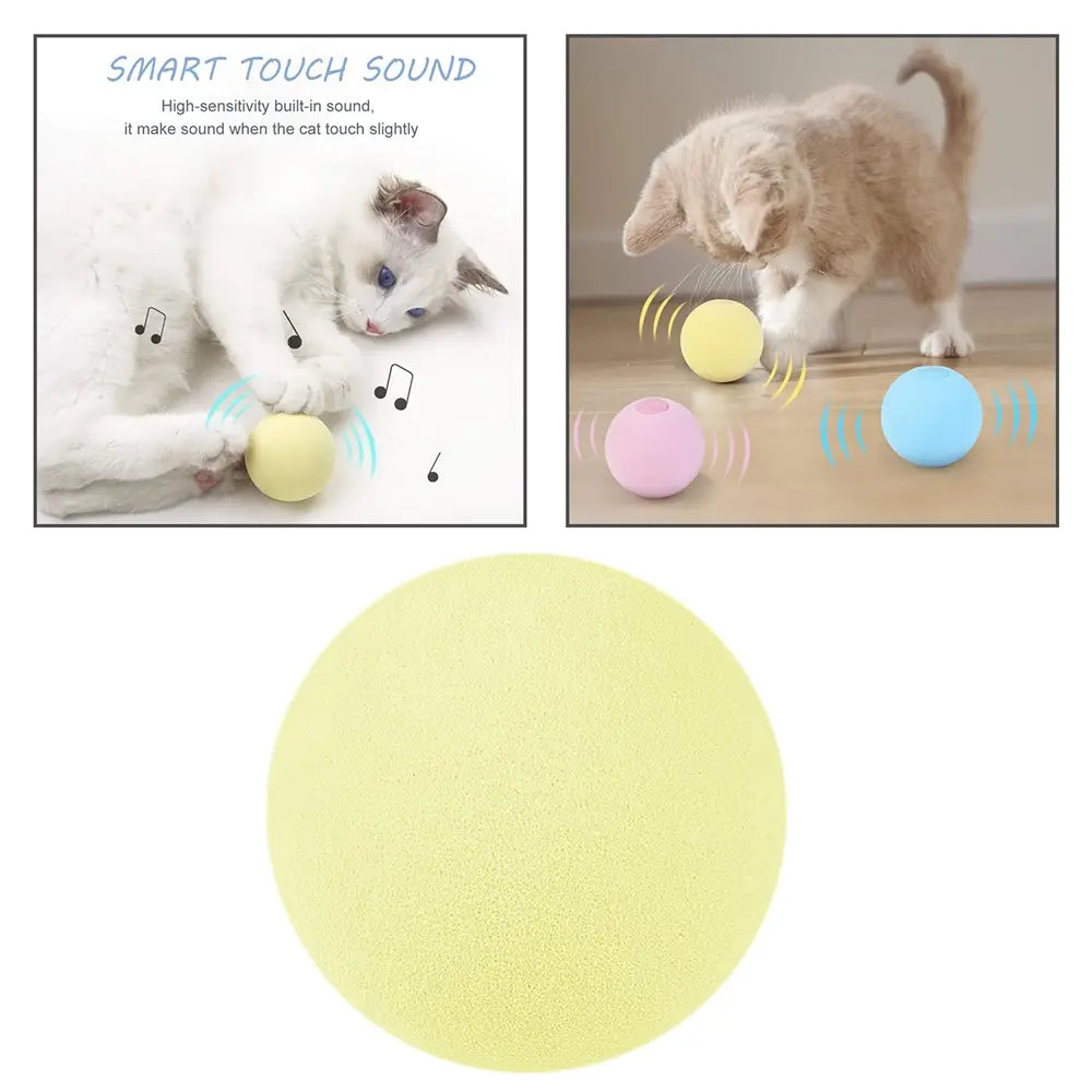 Gravity Voice pet Ball