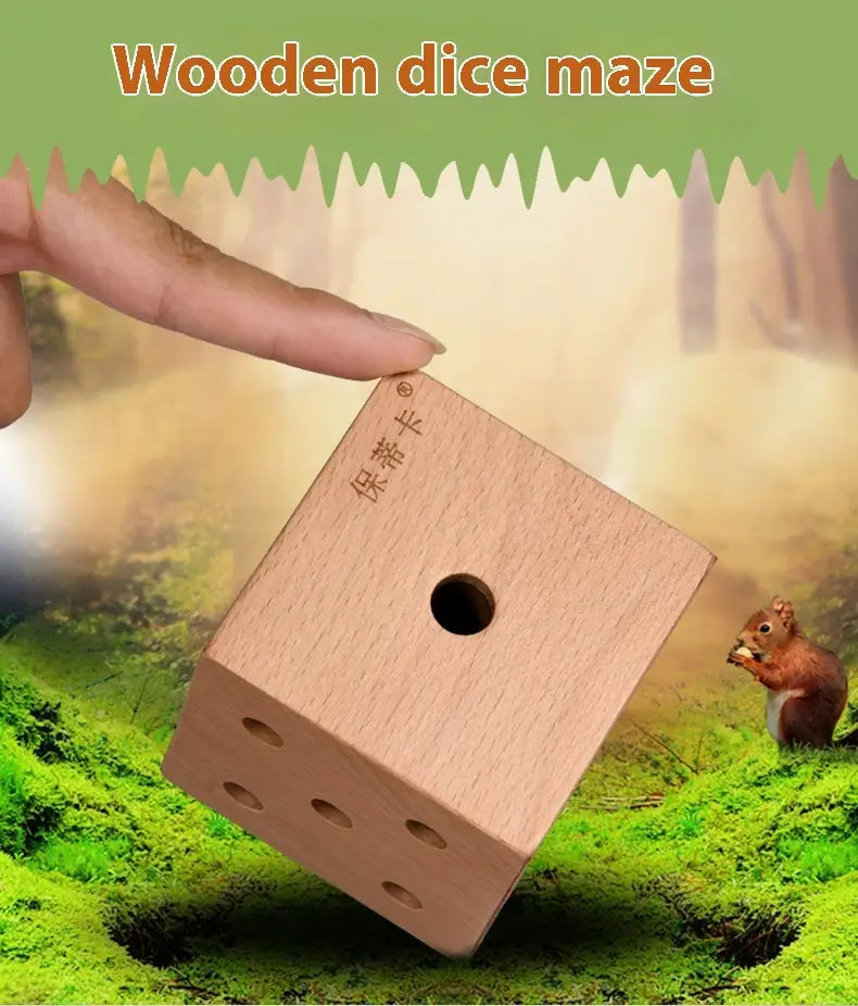 Wooden Labyrinth Ball puzzle