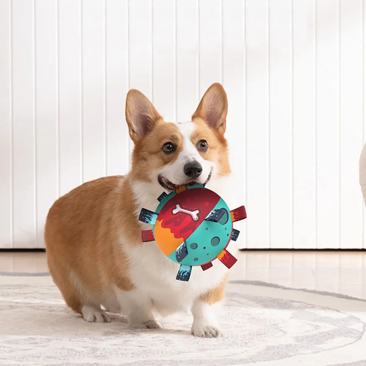 Colorful Dog Soccer Ball With Straps toy, red teal orange bone design tabs