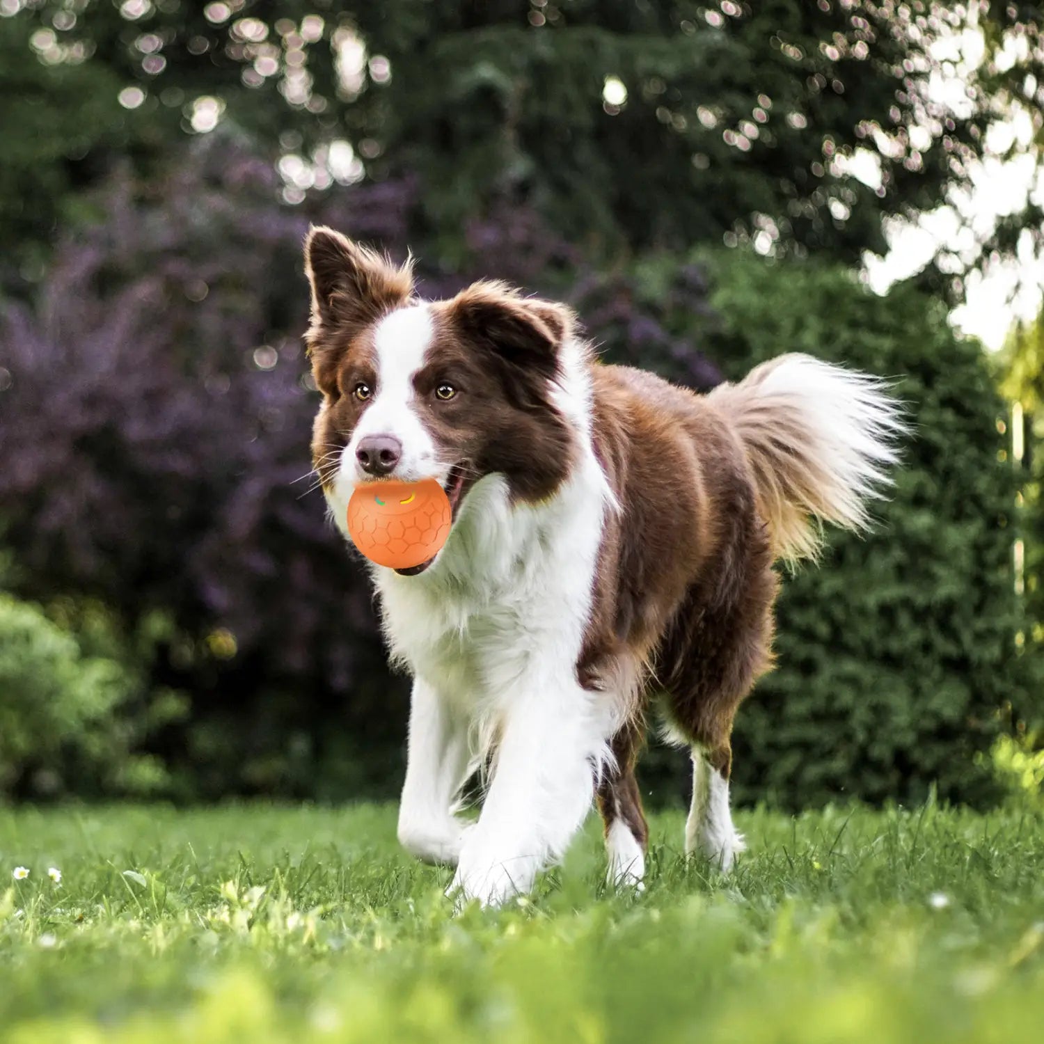 Remote Control Gravity Jumping Ball