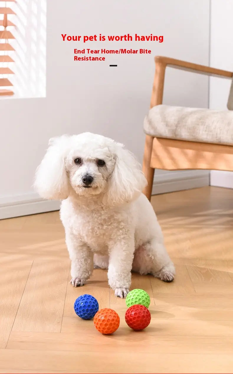 Bite-resistant Molar Relieving Floating Dog Ball