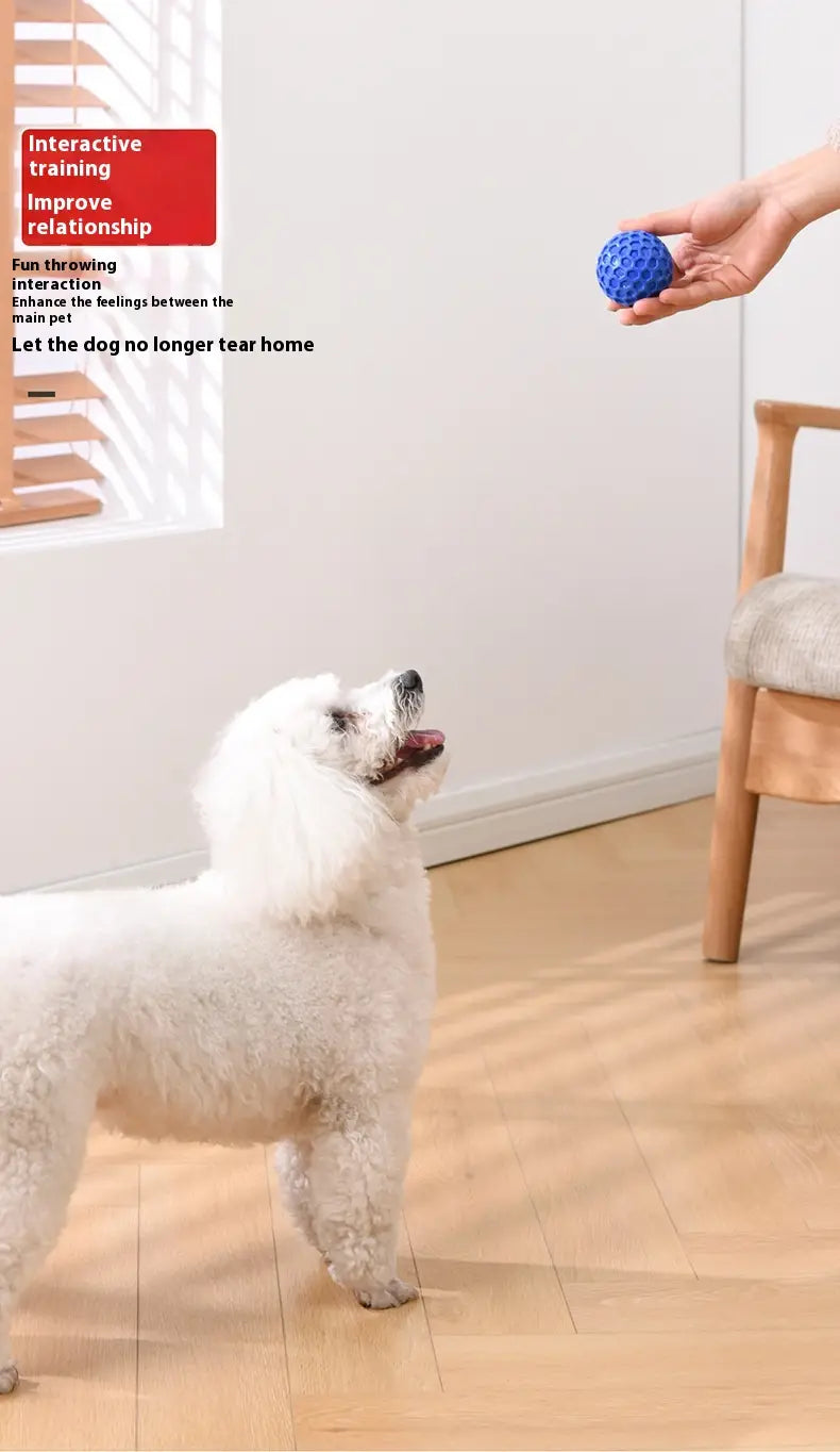 Bite-resistant Molar Relieving Floating Dog Ball