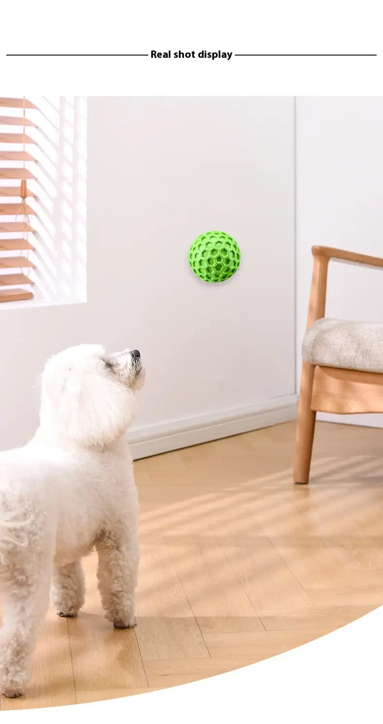 Bite-resistant Molar Relieving Floating Dog Ball