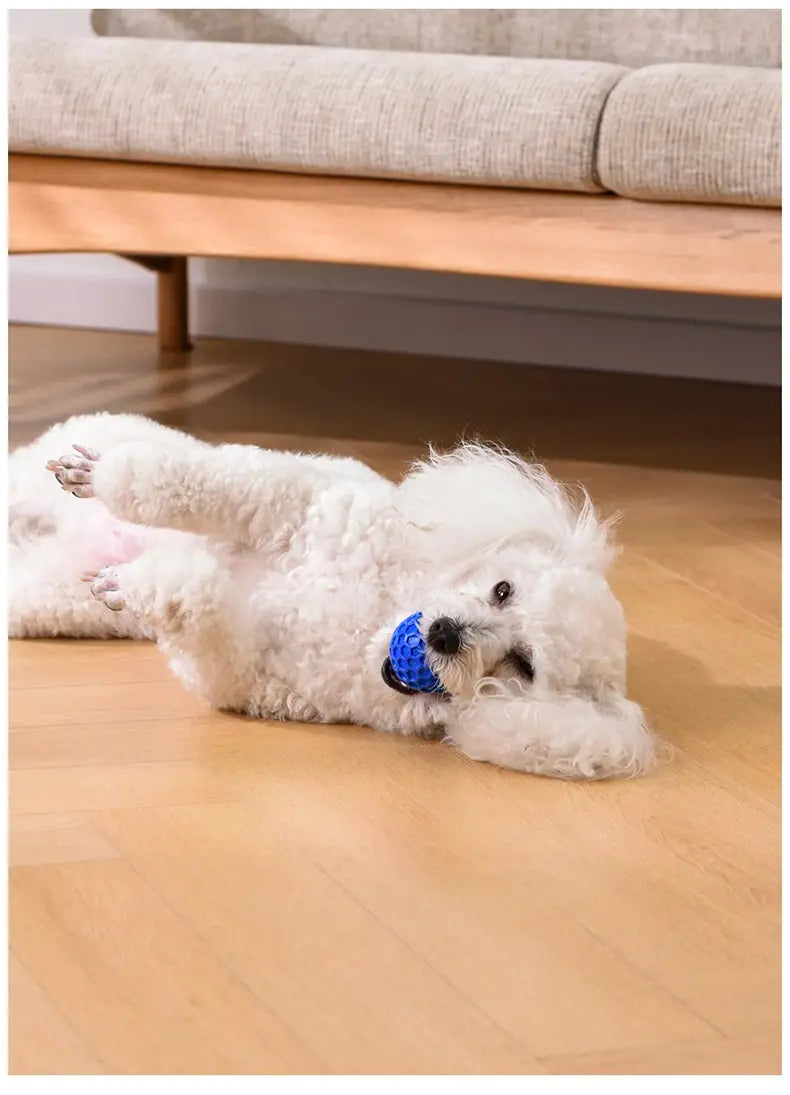Bite-resistant Molar Relieving Floating Dog Ball