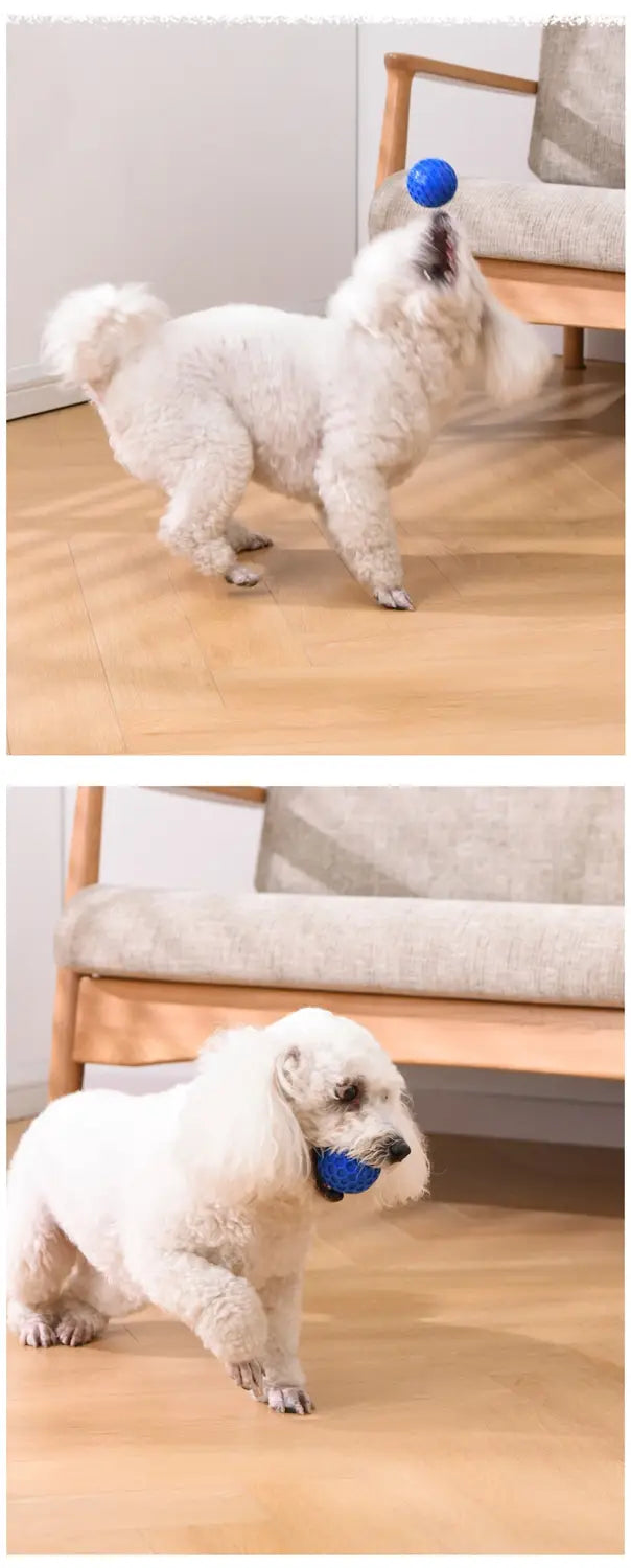 Bite-resistant Molar Relieving Floating Dog Ball