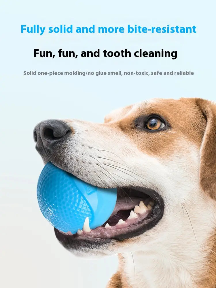 Luminous Rubber Dog Ball