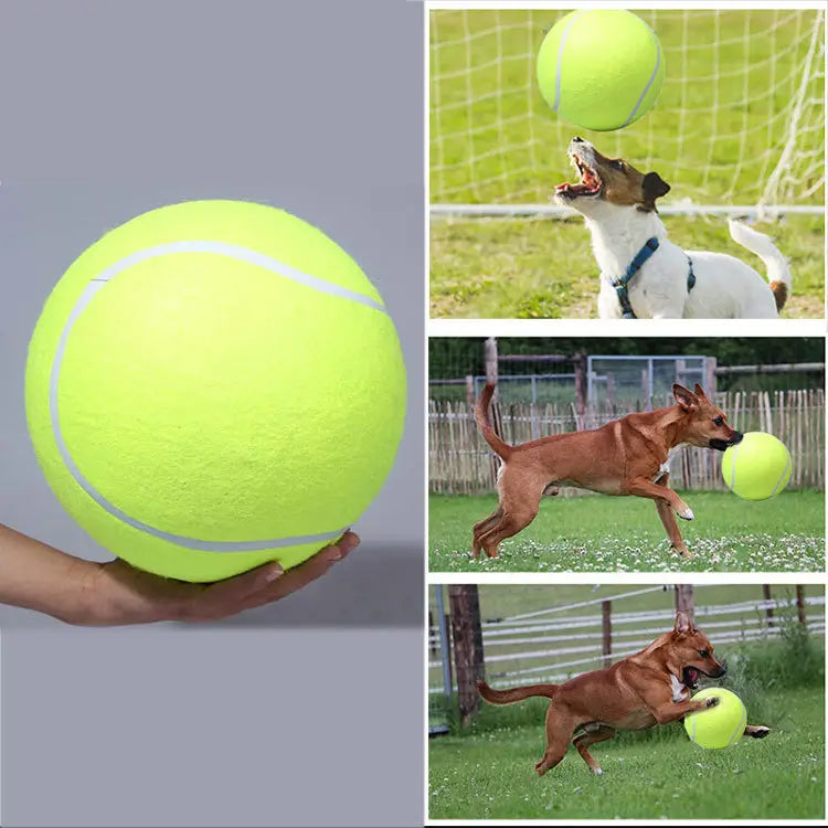 Inflatable Tennis Pet Ball