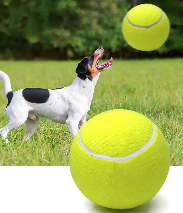 Inflatable Tennis Pet Ball