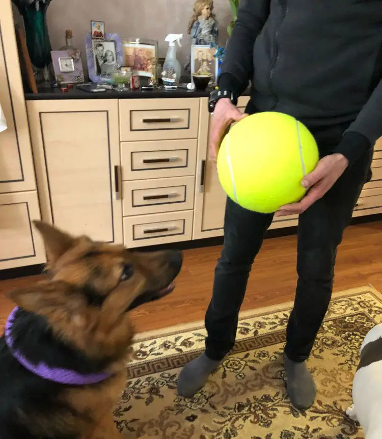 Inflatable Tennis Pet Ball