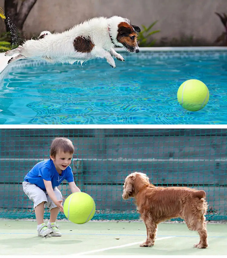 Inflatable Tennis Pet Ball