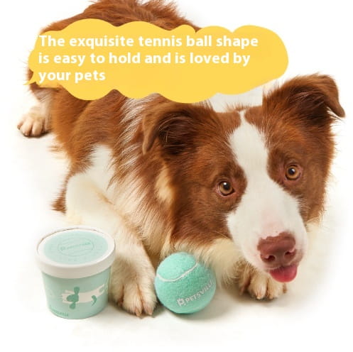 Outdoor Interactive Tennis Dog Ball