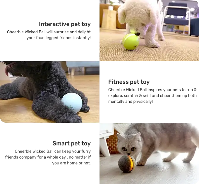 Bright yellow Bouncing Ball with glossy surface and black markings
