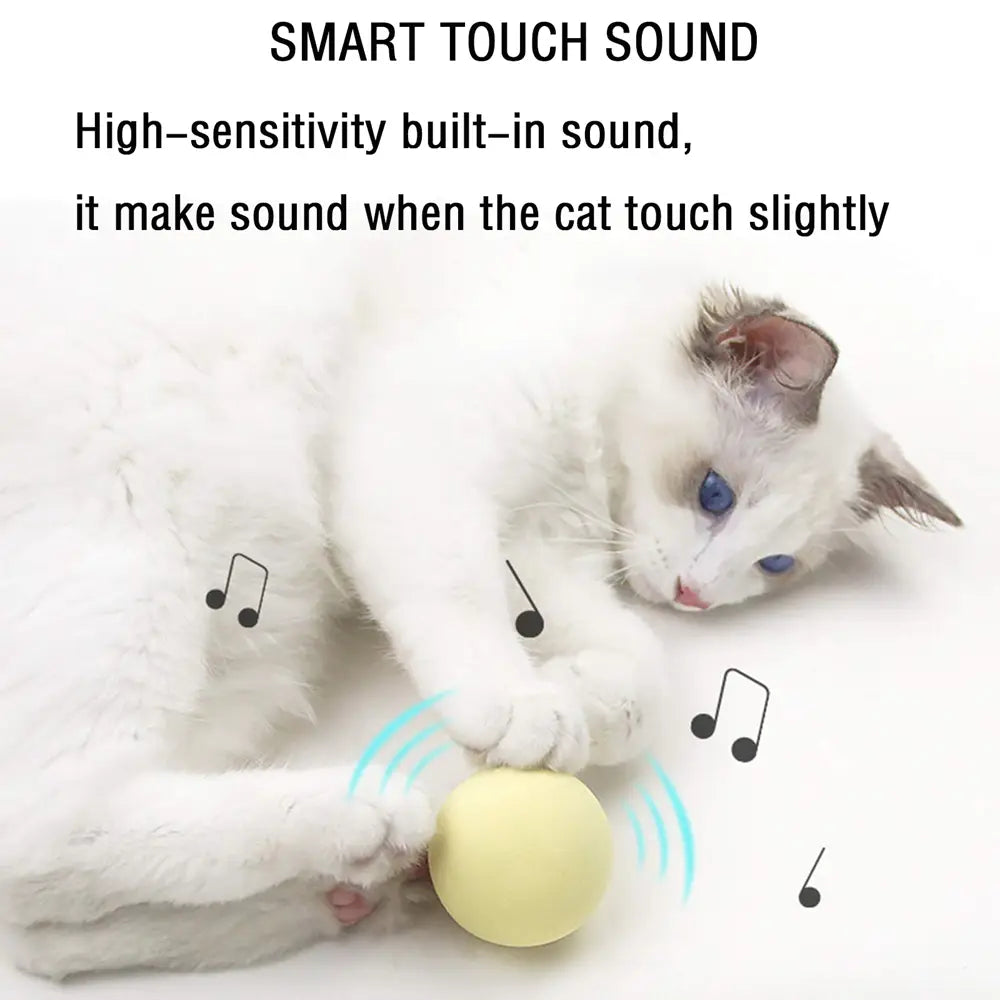 Gravity Voice pet Ball