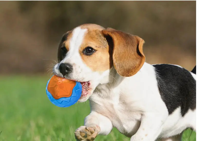 Glow and Float Grinding Teeth Dog Ball