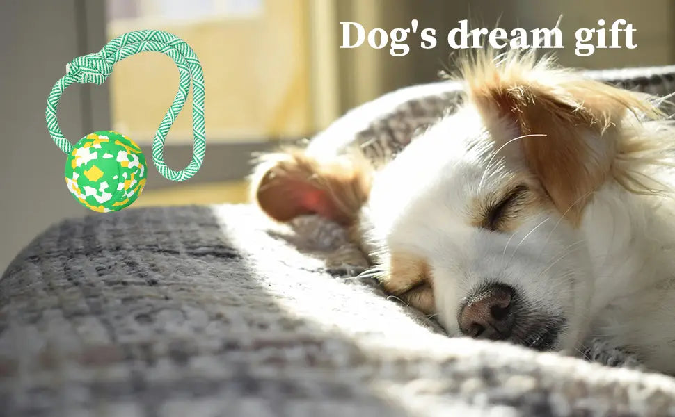 Green and white patterned Dog Rope Ball toy with textured ball