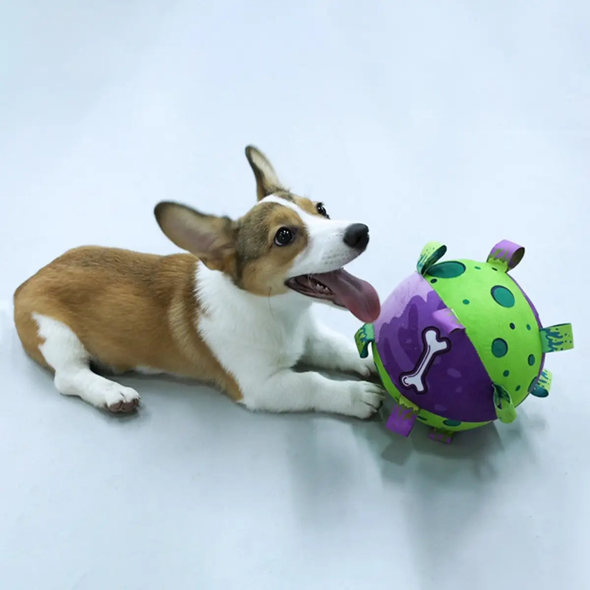 Vibrant purple green plush dog toy bone design with soccer ball straps