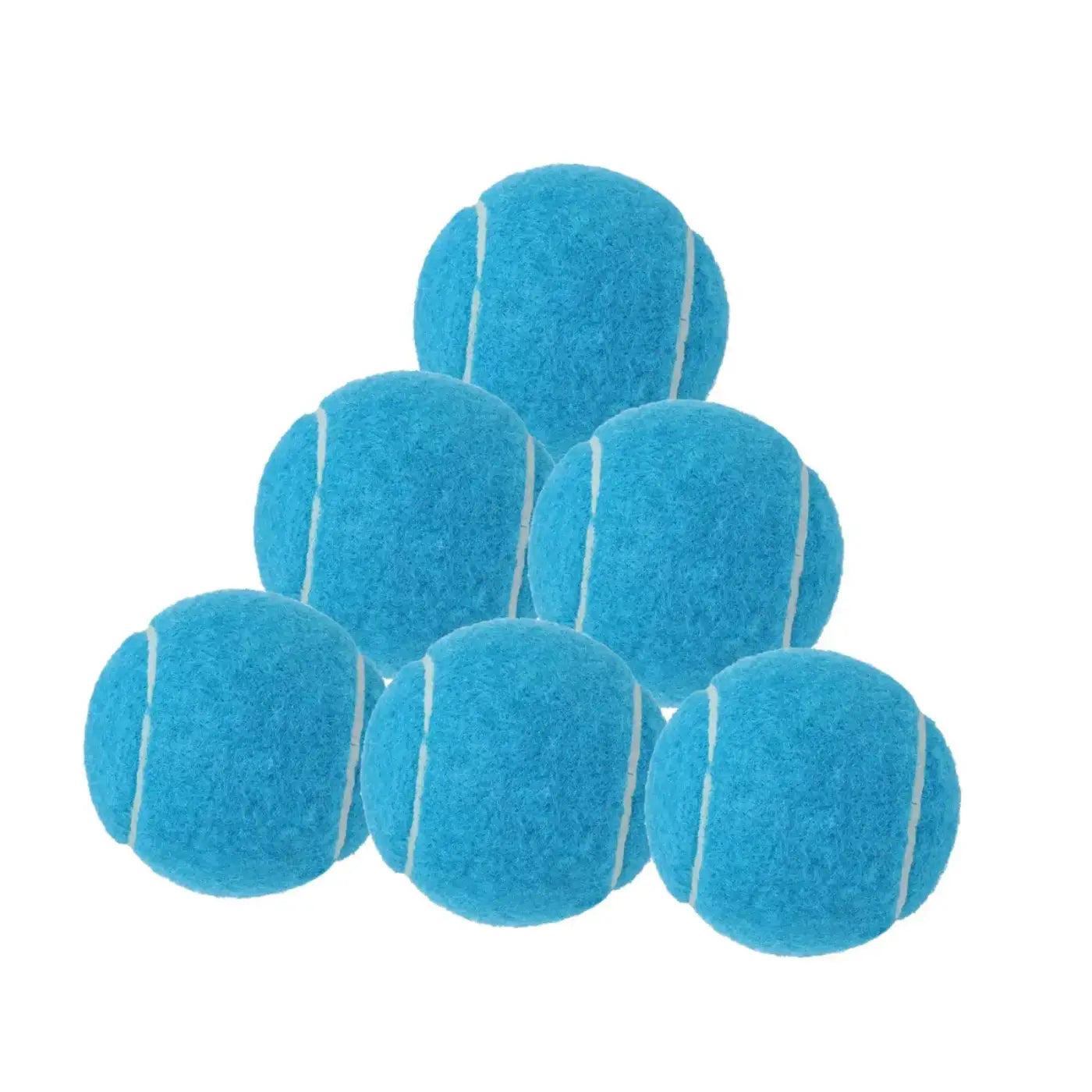 The Ball Depot tennis balls: 6x Tennis Balls