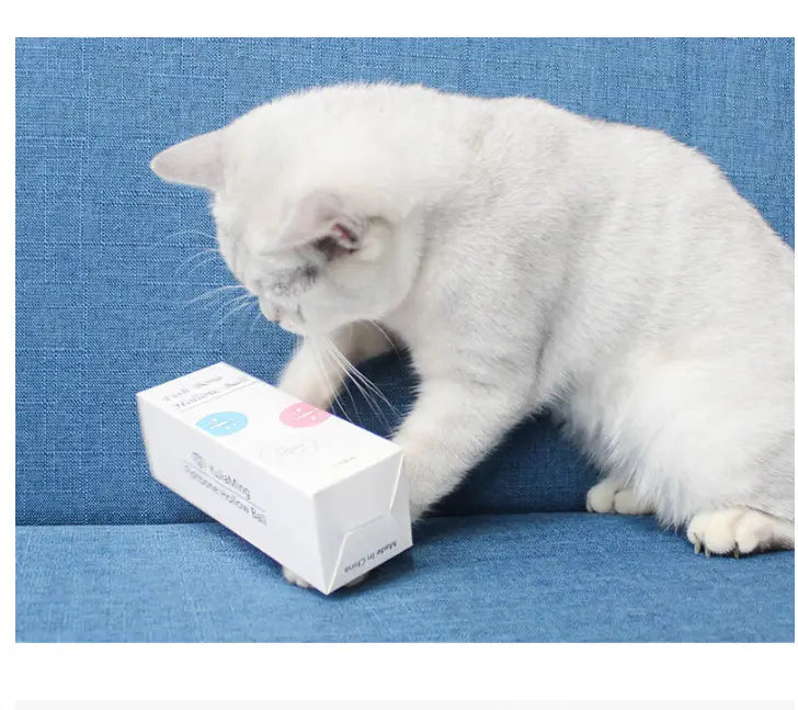 Mint Bell Glow Cat Ball