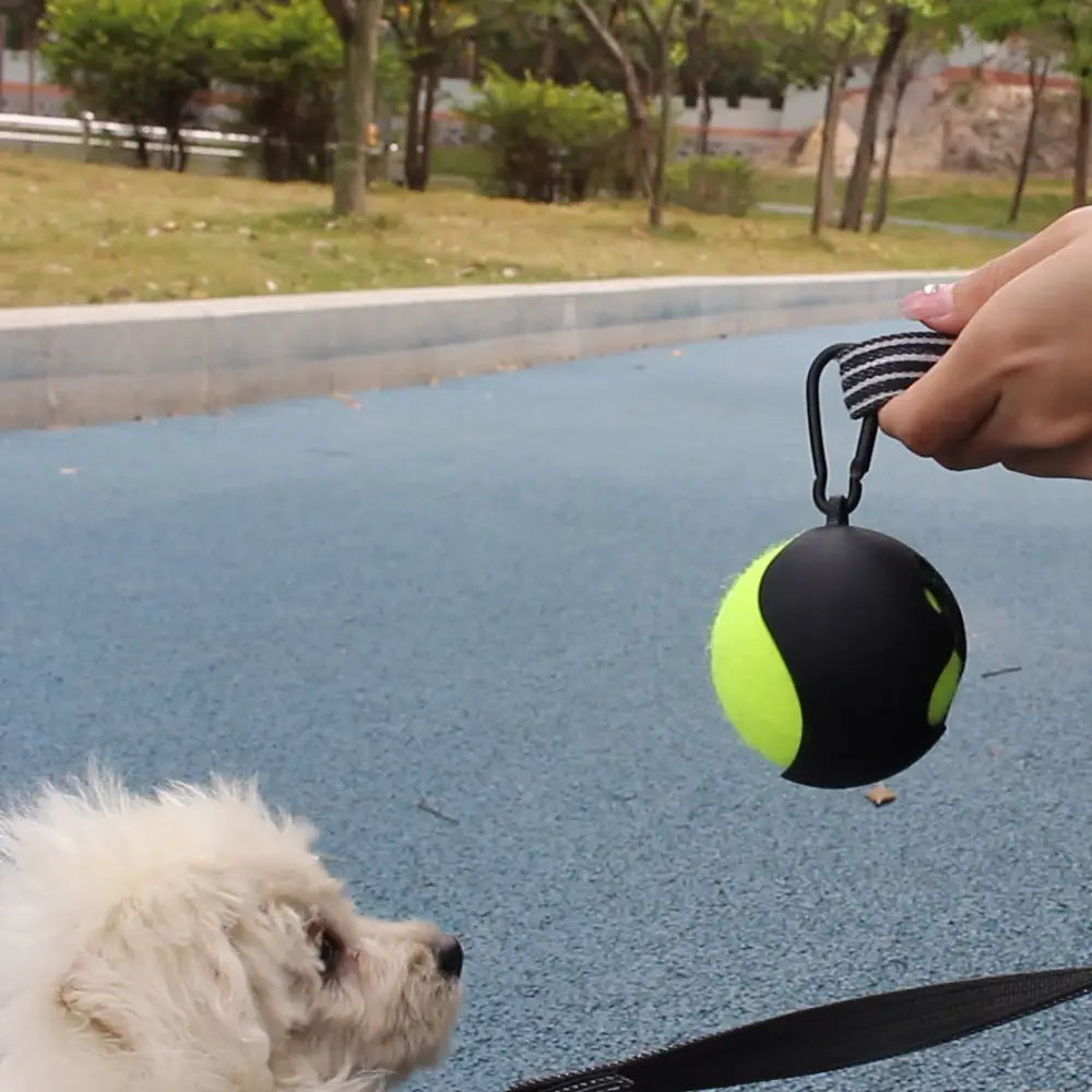 Portable Hands-free Dog Walking Tennis Ball Holder