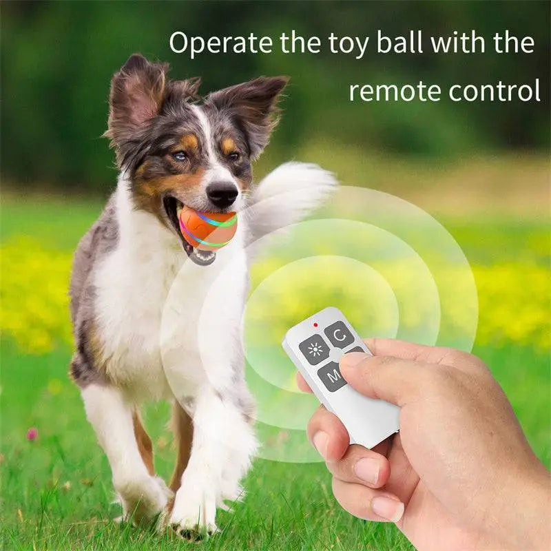 White remote control with black buttons and red light for Purrfectplay pet ball