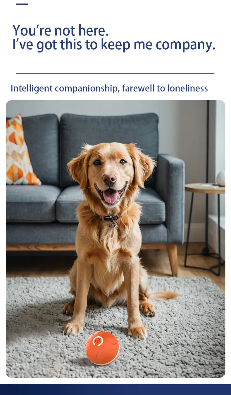 Intelligent Gravity Bouncing Dog Ball