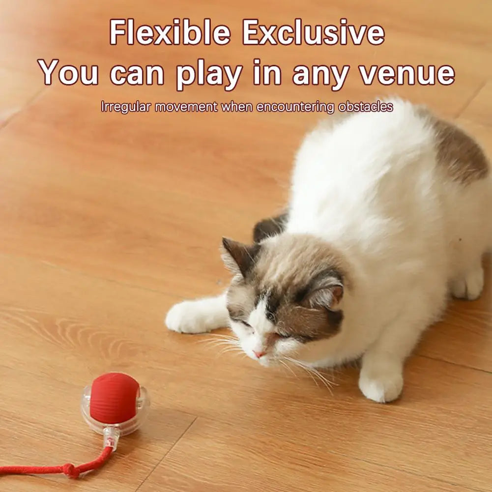 Red Chirping Motion Cat Ball toy with clear base and red string