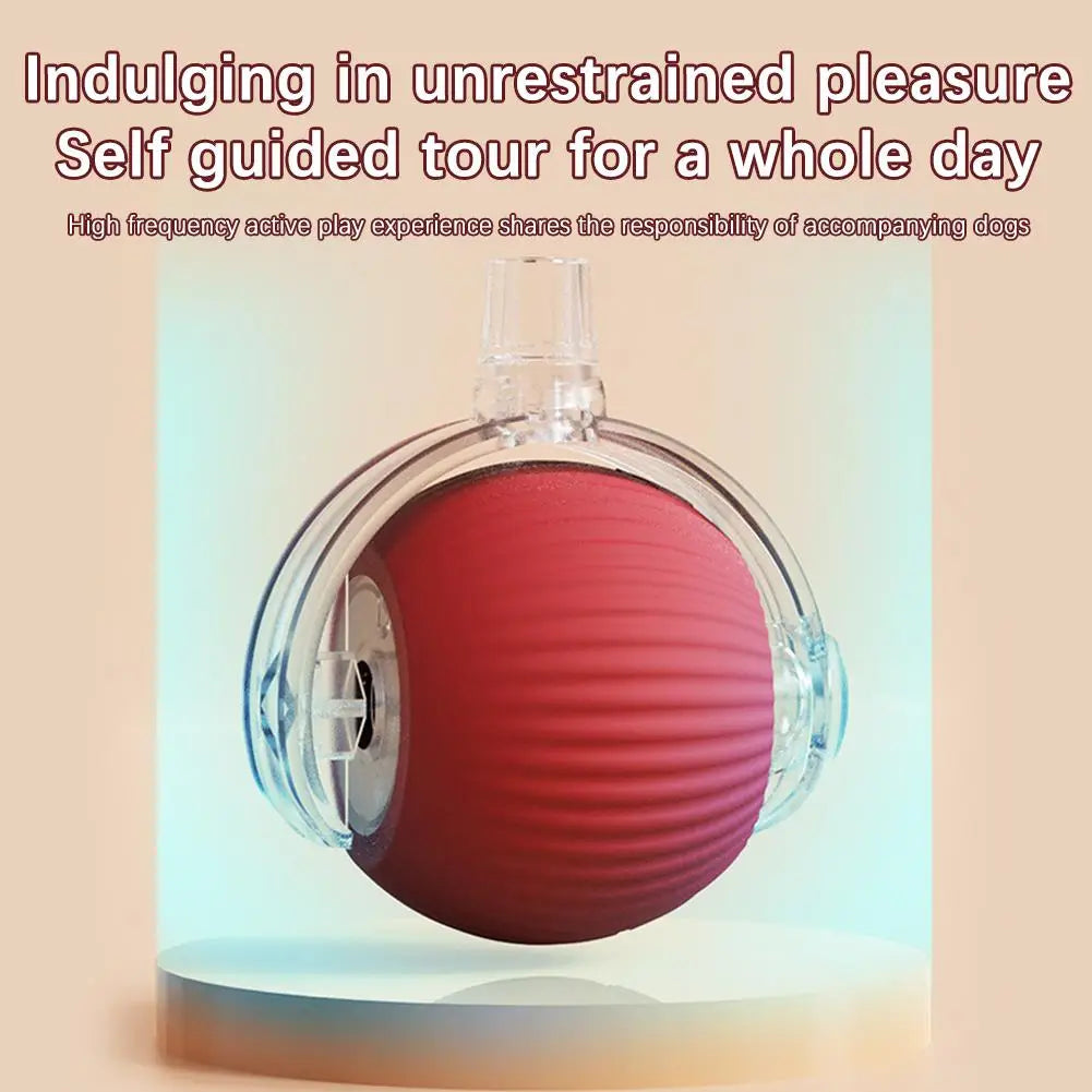 Red ribbed silicone dog toy in clear plastic with handle, Chirping Motion Cat Ball