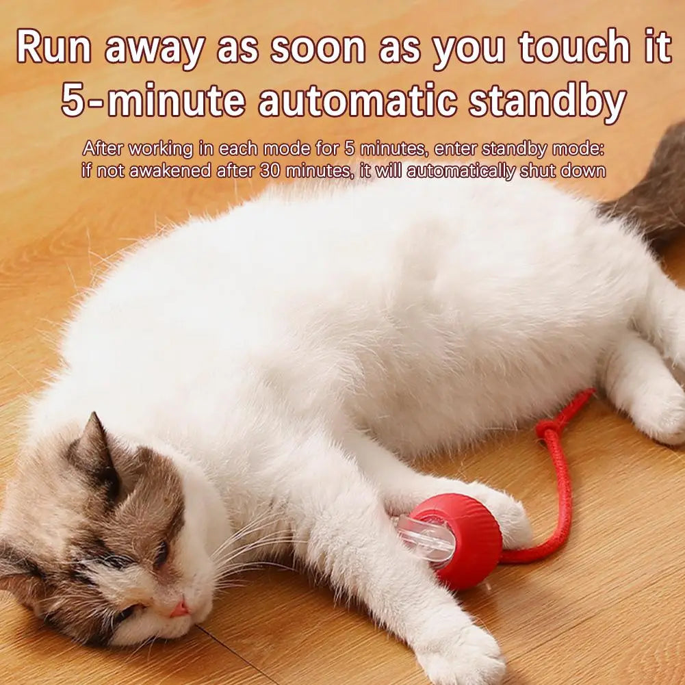 Chirping Motion Cat Ball: red plastic toy with clear ball and red cord
