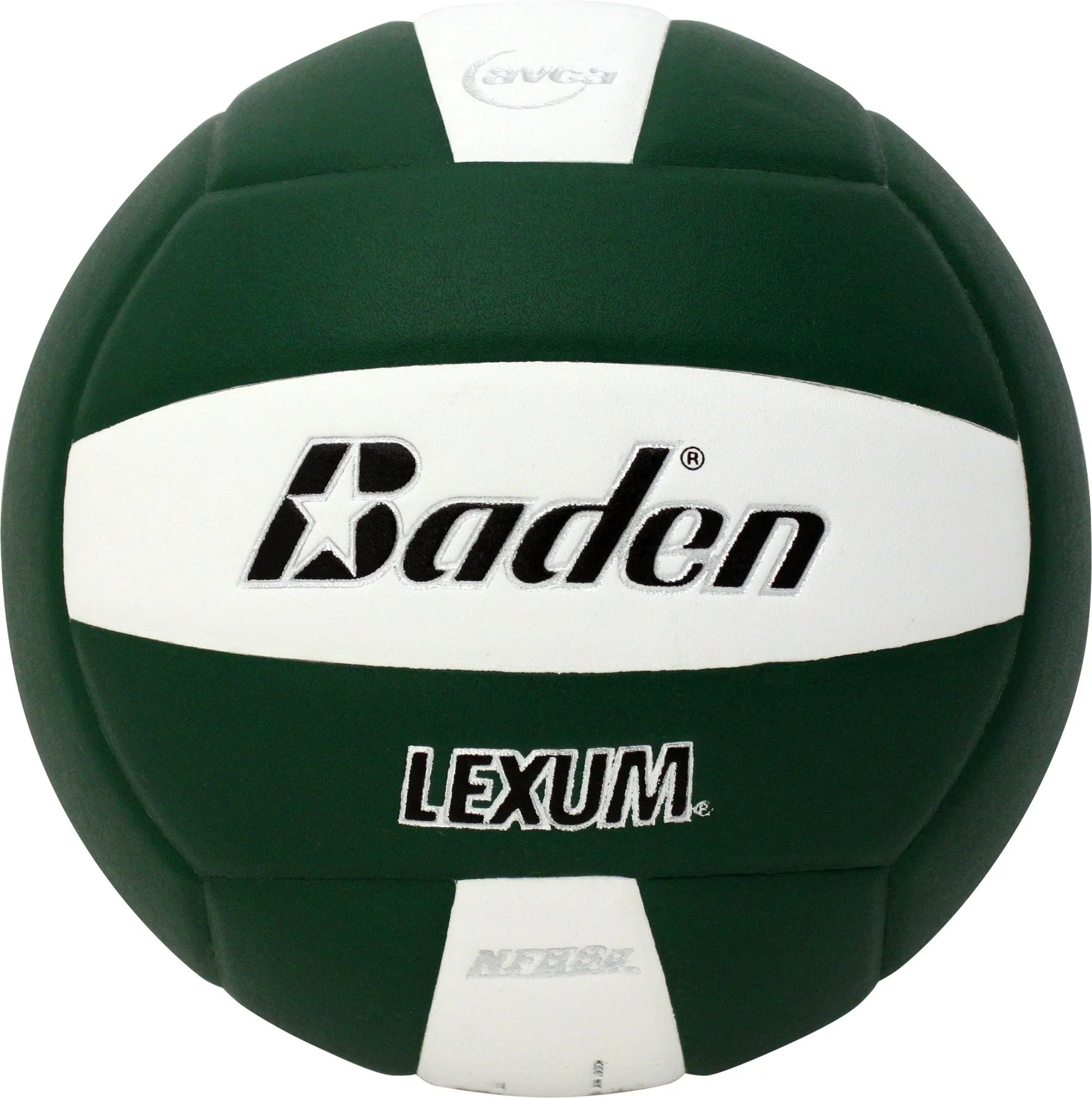 The Ball Depot volleyball: Baden Lexum Microfiber Volleyball