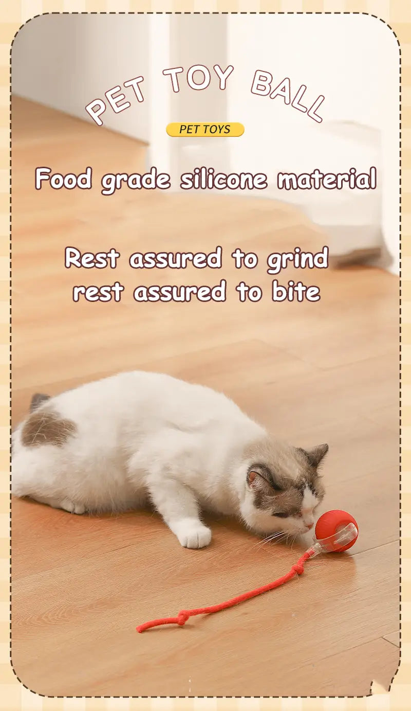 Red silicone Interactive Rechargeable Cat Ball Toy with dangling string