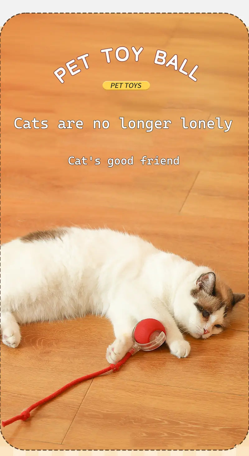 Interactive rechargeable cat ball toy with red string attached