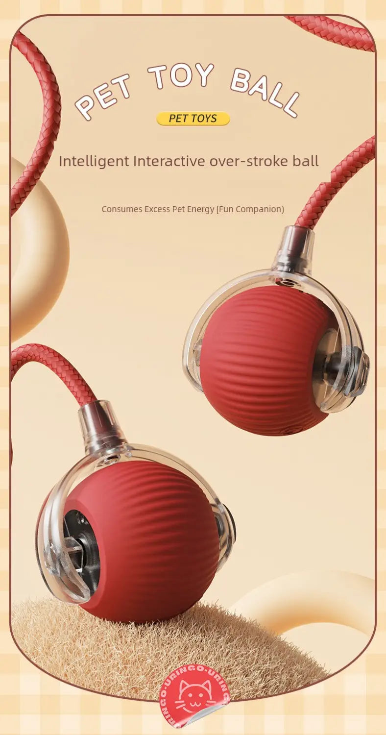 Balle de Teasing Interactif Intelligente pour Chat avec jouet en silicone rouge, boîtier transparent, corde rouge.