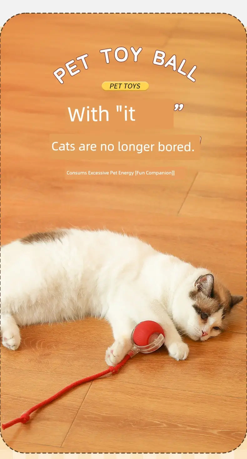 Balle de teasing pour chat en plastique rouge avec ficelle pendante pour Balle de Teasing Interactive Intelligente pour Chat