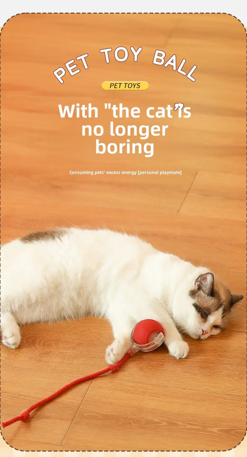 Red translucent plastic cat ball toy with dangling string, Interactive Rechargeable