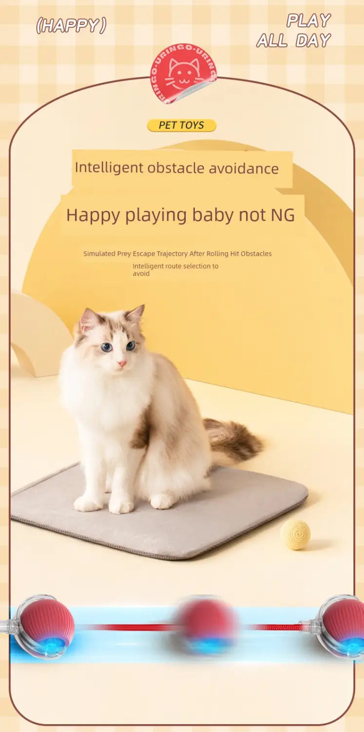 Chat fluffy sur tapis de jouet boule taquineuse interactive intelligente grise pour chat