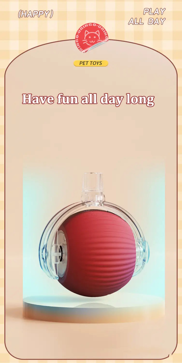 Interactive rechargeable cat ball toy with red ribbed sphere in clear casing