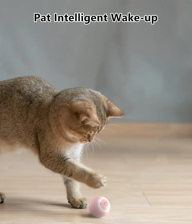 Interactive Cat Spin Ball pink and white spherical pet toy with power button