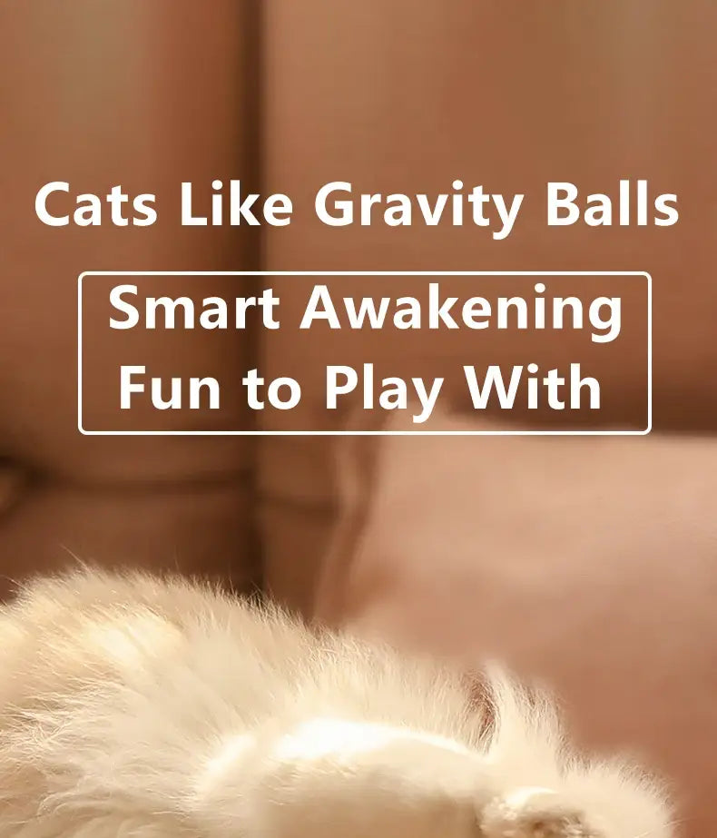 White fluffy cat lying down with Interactive Cat Spin Ball