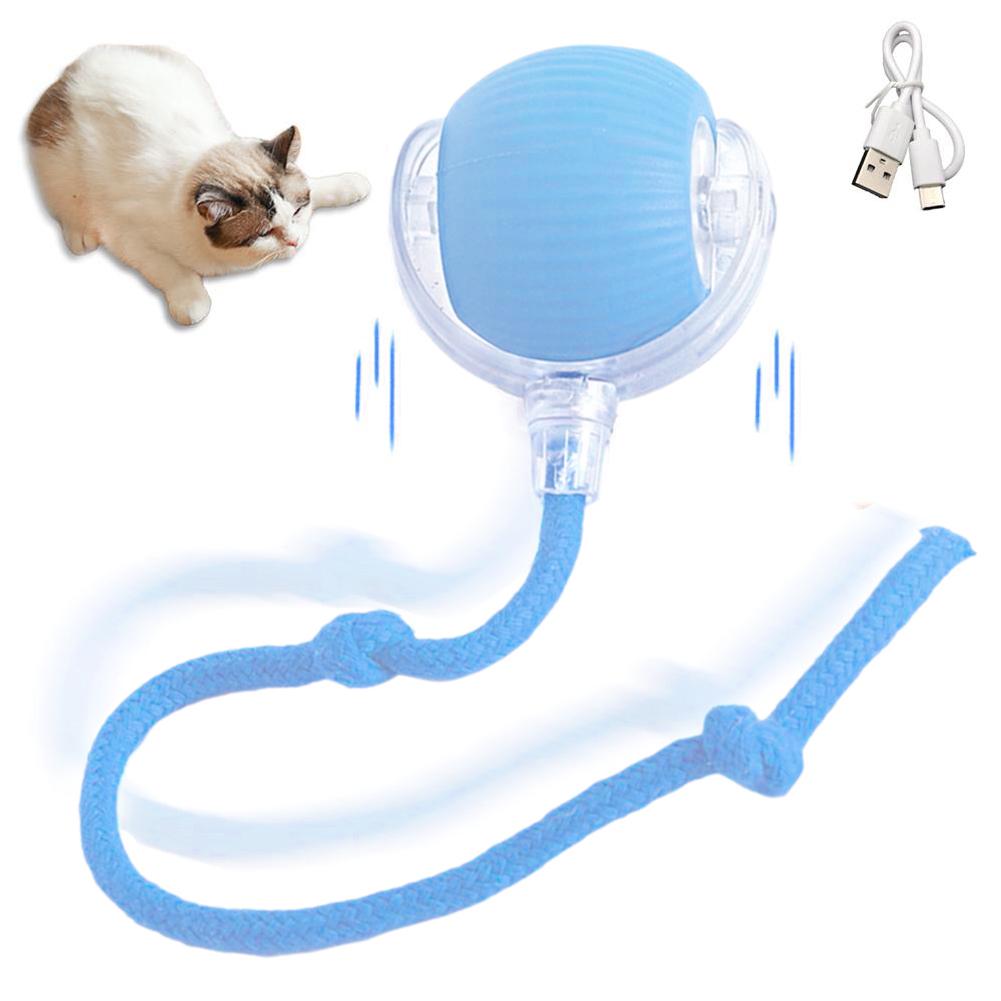 Blue rechargeable smart cat toy ball with clear handle and braided cord